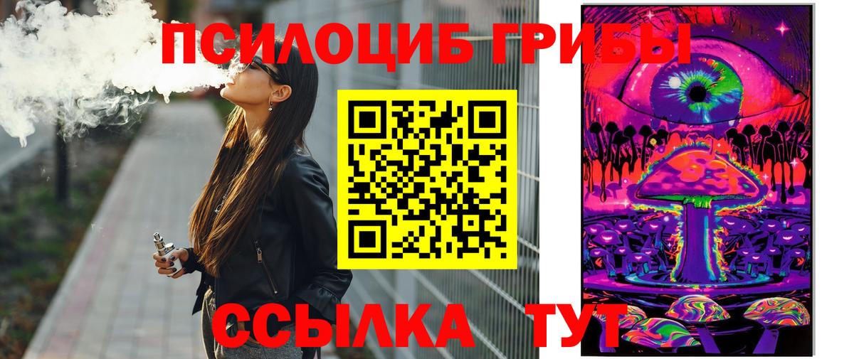 Советский  Псилоцибиновые грибы Psilocybe  Вход с VPN  Галлюциногенные грибы мухоморы 